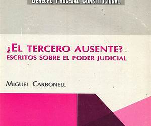 ¿El tercero ausente? Escritos sobre el Poder Judicial