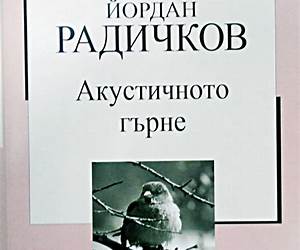 Акустичното гърне