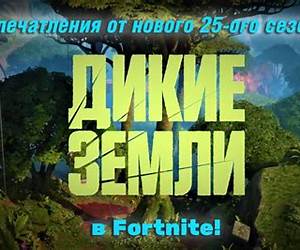 Дикие земли (Нищий 2)