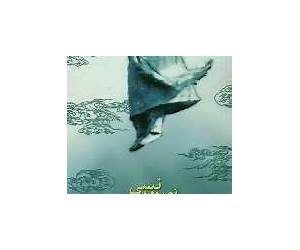 آمبولانسی پر از حلاج