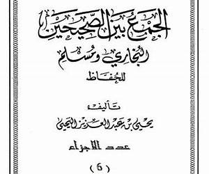 الجمع بين الصحيحين البخاري ومسلم للحفاظ
