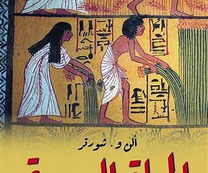 الحياة اليومية في مصر الحياة اليومية في مصر