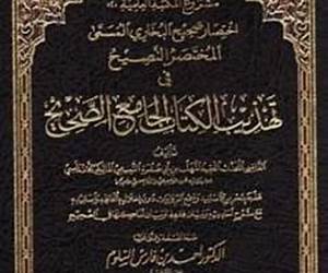 المختصر النصيح في تهذيب الكتاب الجامع الصحيح