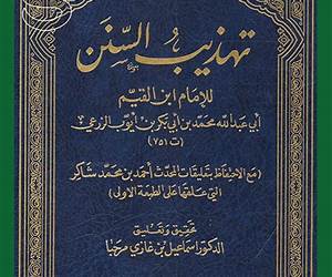 تهذيب السنن