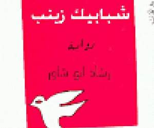 شبابيك زينب