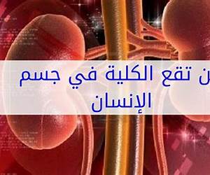 كلية الانسان كلية الانسان