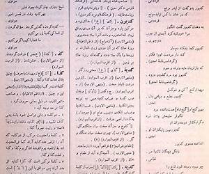 لغت نامه دهخدا