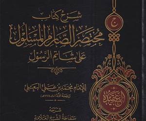 مختصر الصارم المسلول على شاتم الرسول