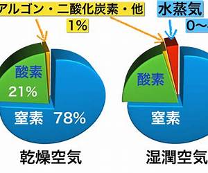 「空気」の構造: 日本人はなぜ決められないのか 「空気」の構造: 日本人はなぜ決められないのか