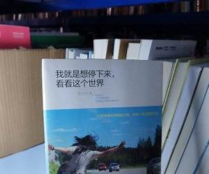 我就是想停下来 看看这个世界