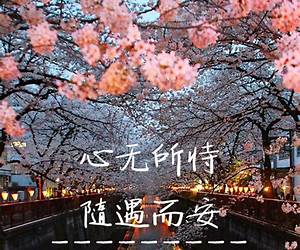 随遇而安 随遇而安