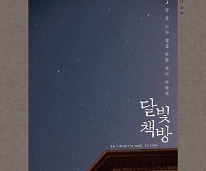 달빛책방: 잠 못 드는 밤을 위한 독서 처방전