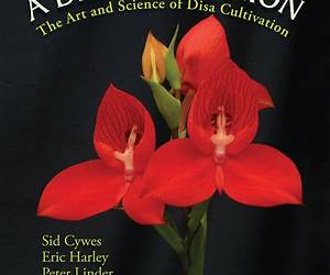 A Disa Companion: The Art and Science of Disa Cultivation