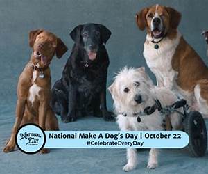A Dog's Day