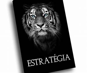 A Estratégia Do Olho Do Tigre A Estratégia Do Olho Do Tigre