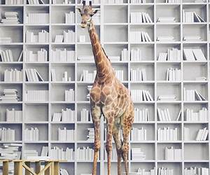 A Giraffe in the Room