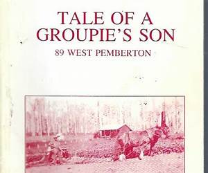 A Groupie's Tale A Groupie's Tale