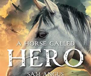 A Horse Called Hero