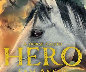 A Horse Called Hero A Horse Called Hero