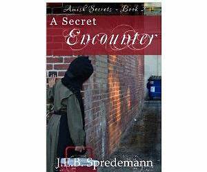 A Secret Encounter (Amish Secrets #2)