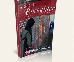 A Secret Encounter (Amish Secrets #2)