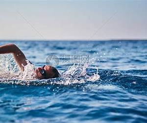 A Swim In The Sea