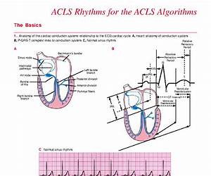 ACLS2013Arrhythmias (Expanded Book)