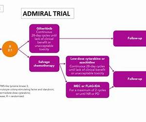 Admiral