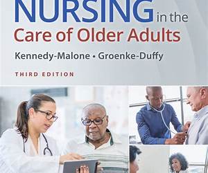 Advanced Practice Nursing in the Care of Older Adults
