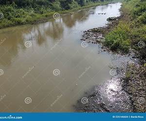 Aguas Turbias