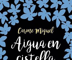 Aigua en cistella