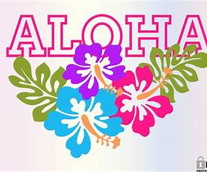 Aloha, Susan! Aloha, Susan!