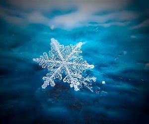 Amazing Snowflakes