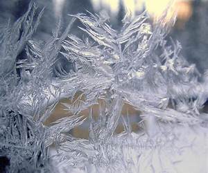 Amazing Snowflakes Amazing Snowflakes