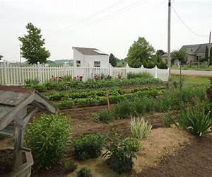An Amish Garden