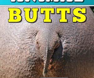 Animal Butts \u0026 Facts Too: Fun Animal Books for Kids With Facts \u0026 Incredible Photos (Exploring Our Incredible World Children's Book Series)