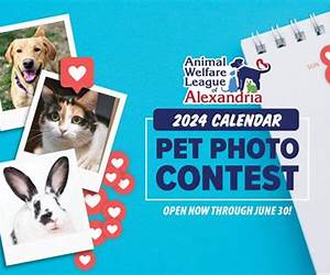 Animal Contests Animal Contests