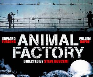 Animal Factory: The Looming Threat of Industrial Pig, Dairy, and Poultry Farms to Humans and the Environment