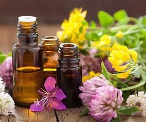 Aromaterapia (Caras Zen) Aromaterapia (Caras Zen)