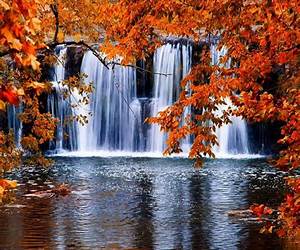 Autumn Falls