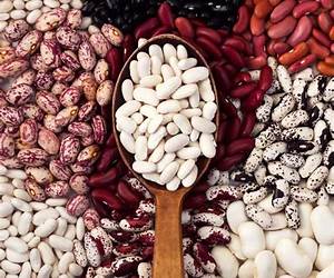 Beans: Weight Loss Superfoods CookbookRecipes to Lose Weight Without Calorie Counting or Exercise (Vol. 1)