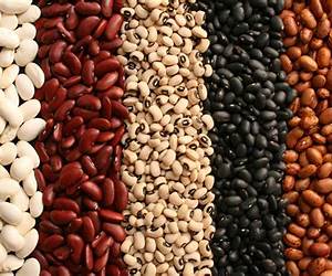 Beans: Weight Loss Superfoods CookbookRecipes to Lose Weight Without Calorie Counting or Exercise (Vol. 1) Beans: Weight Loss Superfoods CookbookRecipes to Lose Weight Without Calorie Counting or Exercise (Vol. 1)