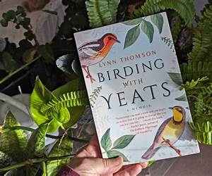 Birding with Yeats: A Mother's Memoir