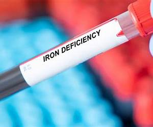 Bleeding Iron (Side Stories of the Iron Flower)