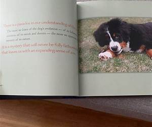 Bless the Dogs: The Monks of New Skete