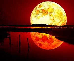 Blood Moon (Moon Coven #2.5) Blood Moon (Moon Coven #2.5)