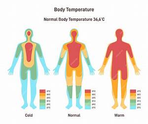 Body Heat