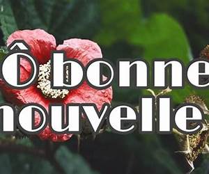 Bonne Nouvelles Aujourd'hui Bonne Nouvelles Aujourd'hui