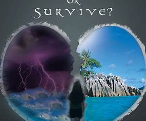 Break or Survive?