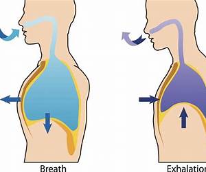 Breathing (Pranayama) Booklet